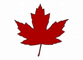 Image result for Canada Maple Leaf Vector