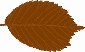 Image result for Rose Leaf Clip Art