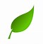 Image result for Leaf Vector Illustration