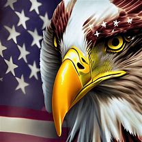 Image result for Bald Eagle with American Flag Drawing Realistic No Color