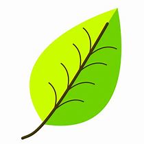 Image result for Draw Leaves On Tree