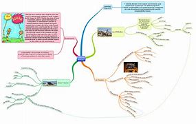 Image result for Mind Map. About Environmental Sustainability