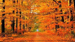 Image result for Fall Slide Background