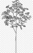 Image result for Architectural Drawing Tree Line