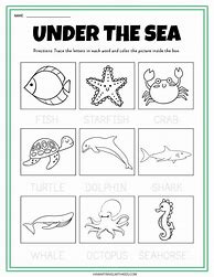 Image result for Under the Sea Worksheets Preschool