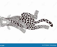 Image result for Jaguar Laying Down Sketch