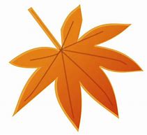 Image result for One Orange Fall Leaf Template