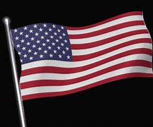 Image result for USA Army Flag