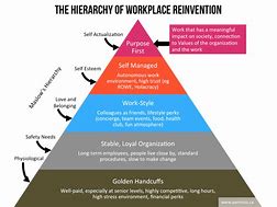 Image result for Hierarchy of Staff