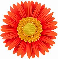 Image result for Daisy Clip Art Transparent