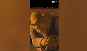 Image result for Donkey From Shrek Staring Meme