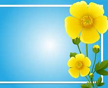 Image result for Spring Flower Borders