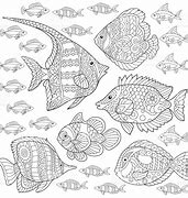 Image result for Tropical Fish Coloring Pages Free