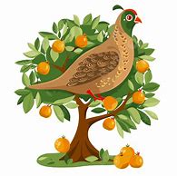 Image result for Christmas Partridge in Pear Tree