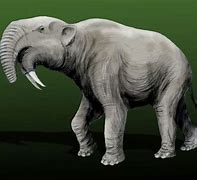 Image result for Prehistoric Elephants