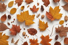 Image result for Cute Fall Banner