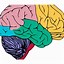 Image result for Brain and Lungs Neural Networl