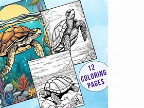 Image result for Turtle Coloring Pages for Kids