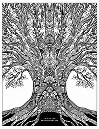 Image result for Fall Tree Coloring Pages for Adults