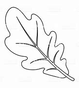 Image result for Oak Leaf Outline