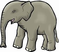 Image result for Elephant Trunk Animal