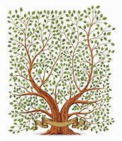 Image result for Vintage Tree Branch Illustration