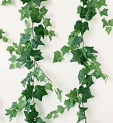 Image result for Ivy Vines On Legs