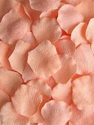 Image result for Peach Pink Aesthetic