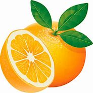 Image result for Orange Clip Art for Kids