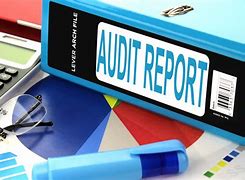 Image result for Audit Funny Pecture