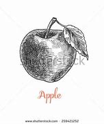 Image result for Vintage Apple Clip Art