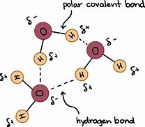 Image result for Molécule Drawing