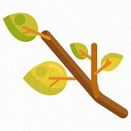 Image result for Tree Branch Icon