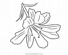 Image result for Lily Flower Bouqet Origami