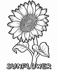 Image result for Sunflower Flower Coloring Pages