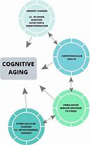 Image result for Cognitive Systems