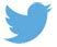 Image result for Twitter Logo Icon Small