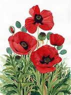 Image result for Red Poppies Canvas Art