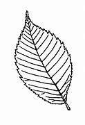 Image result for Leaf Colouring Sheet