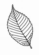 Image result for Leaf Colouring Sheet