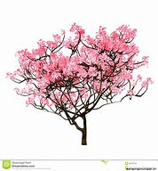 Image result for Cherry Blossom Tree Drawing Pencil Easy