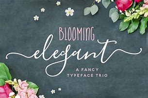 Image result for Elegant Fonts