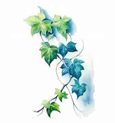 Image result for vine leaves watercolor