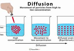 Image result for Autoregressive vs Diffusion