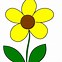 Image result for Flower Clip Art HD