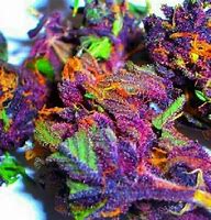 Image result for Rainbow Weed Clip Art