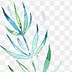 Image result for vine leaves watercolor