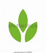 Image result for 3 Leaf Logo