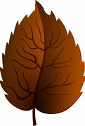 Image result for Autumn Leaf Transparent