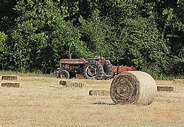 Image result for Hay Tractor Lake District